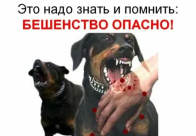 Защити себя сам. Предупрежден  — значит защищен.