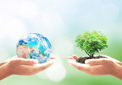 О результатах надзора за санитарным содержанием территорий