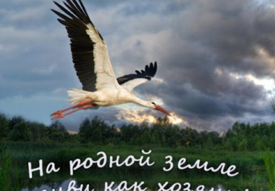 В рамках инициативы по благоустройству «На родной земле -живи как хозяин»