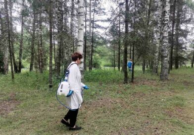 Проведена обработка места зоны отдыха в деревни Горки